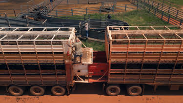 10:00 AM: Aussie Road Train Truckers (S1 E5) (S1) | Yesterday | 9/19 2026