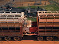 Aussie Road Train Truckers