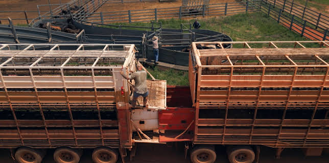 2:00 PM: Aussie Road Train Truckers (S1 E5) (S1) | Dave | 11/19 2025