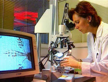 02:45: Medical Detectives - Geheimnisse der Gerichtsmedizin | VOX | 5/17 2026