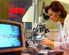 Medical Detectives - Geheimnisse der Gerichtsmedizin