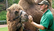 Leopard, Seebär & Co. (67)