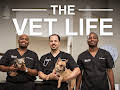 The Vet Life