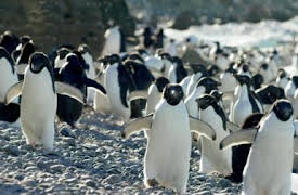 Berättelserna bakom bilderna: Panorama