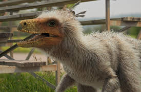 Dino Dex: Chickenosaurus Rex