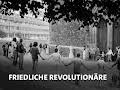 Friedliche Revolutionäre
