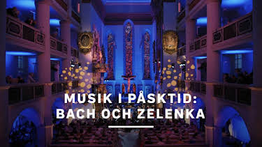 11:00: Musik i påsktid: Bach och Zelenka | SVT2 | 4/6 2026