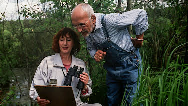 08:15: Löwenzahn Classics | ZDFneo | 4/15 2026