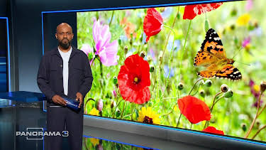 17:30: Panorama 3 | Tagesschau 24 | 5/10 2026