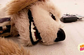 Lost!: Flash And The Horrible Heat