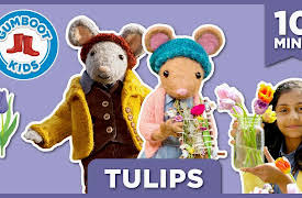 The Gumboot Kids: Tulips