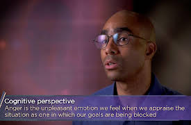 Understanding Human Emotions: The Purpose of Disgust and Anger