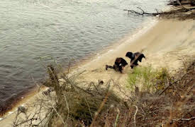 Revolution: The Complete First Season: The Dark Tower