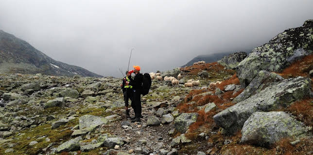 14:15: Folk: Den trygge dalen | NRK 1 | 1/10 2026