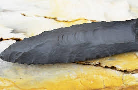 Underwater Archaeology: Mysteries of the Deep: Submerged Traces of Early Human Migration