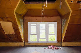 Rehab Addict Rescue: New Nest, Who This?