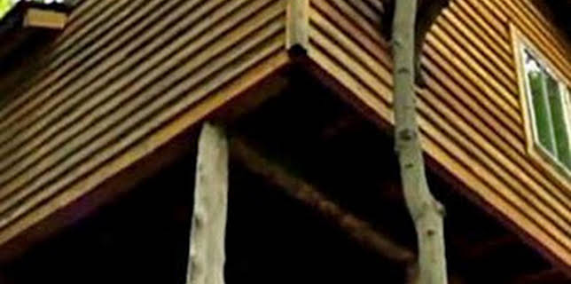 07:30: Mi casa en un árbol: Las casas en árboles Parte 5 | Discovery | 2/21 2026