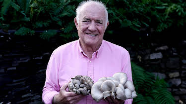 5:30 PM: Rick Stein's Cornwall (S3 E10) (S3) | Dave | 6/24 2026