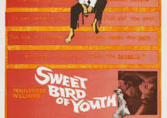 Dulce pájaro de juventud