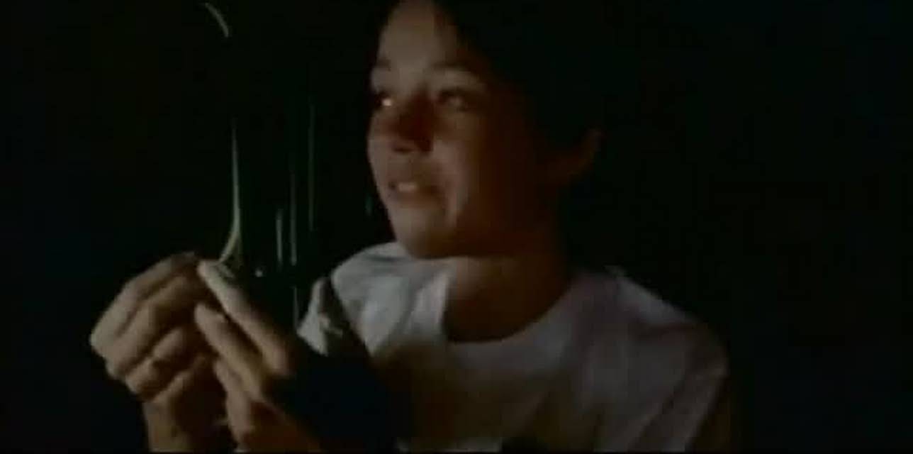 American Graffiti (1973)