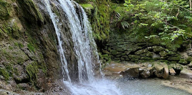 13:15: Daheim in Oberreute | BR Fernsehen | 3/8 2026