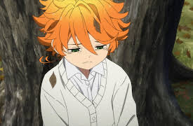 The Promised Neverland: Season 1: 130146