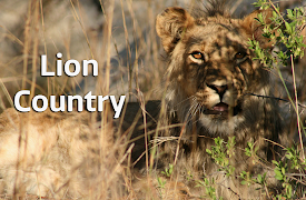 Lion Country: Episode 2