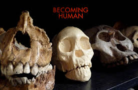 Becoming Human: First Steps