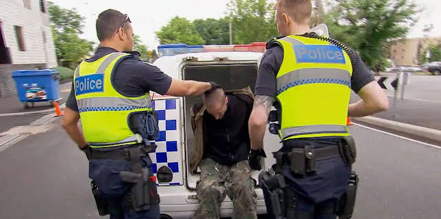 9:15 AM: Highway Patrol (S7 E6) (S7) | Paramount | 11/29 2025