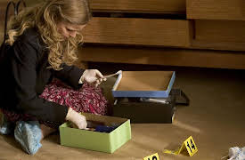 The Closer: The Complete First Season: Fantasy Date