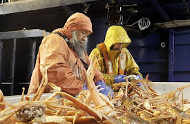Deadliest Catch, Season 20: Seaborne Sacrifice