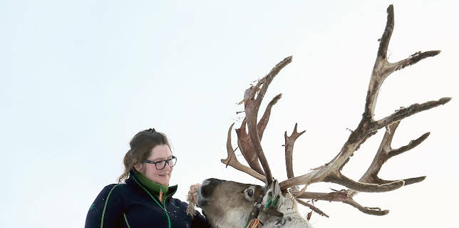 21:00: Norwegens schönste Jahreszeit | HR Fernsehen | 1/9 2026