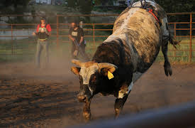 Diesel Brothers: Episode 101