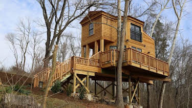 8:00 AM: Treehouse Masters (S6) | Discovery Channel | 9/21 2026