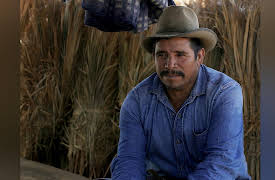 Holy Water: Mezcal San Lorenzo de Albarradas - Resistance