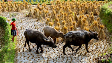 20:15: Länder - Menschen - Abenteuer | ARD Alpha | 5/1 2026
