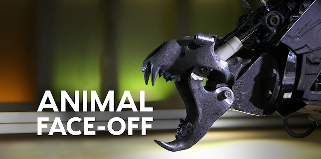 Animal Face Off: Season 1