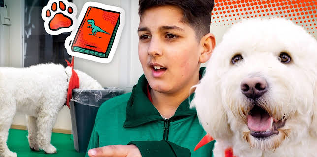 16:30: Hundebanden: Ollie på skolen | NRK Super | 1/9 2026