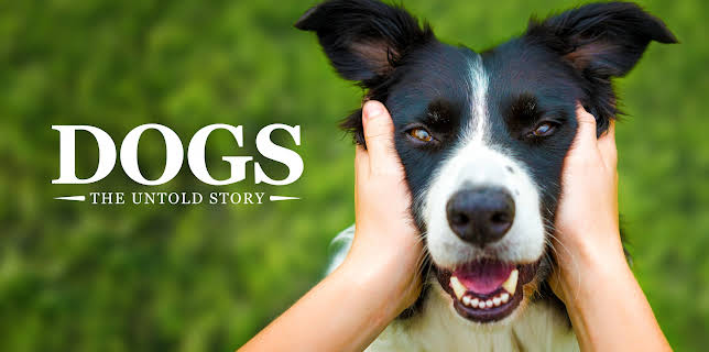 Dogs: The Untold Story