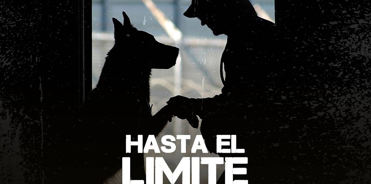 MBF: Man's Best Friend (2019)