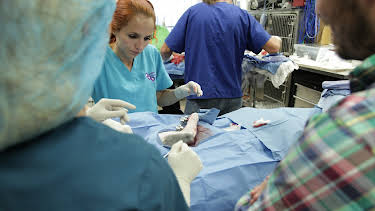 09:30: Dr. Jeff: Rocky Mountain Vet (S2 E12) (S2) | Animal Planet | 12/31 2025