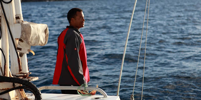 20:00: Great White Appetite | Animal Planet | 11/19 2025