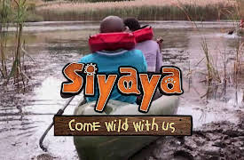 Siyaya – Come Wild With Us: The Golden Gate