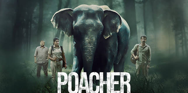 Poacher