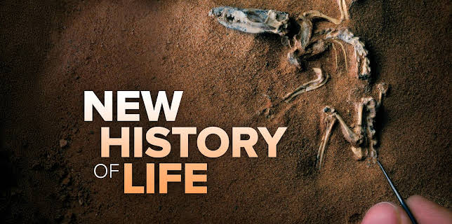 A New History of Life