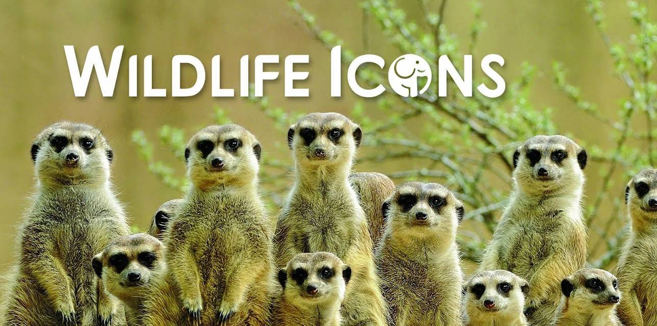 Wildlife Icons