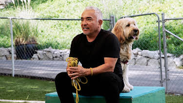 16:30: Cesar Millan: Better Human Better Dog - Bessere Menschen, bessere Hunde | Sixx | 4/19 2026