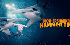 Mothersharker: Hammer Time: Mothersharker: Hammer Time