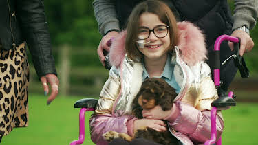 16:25: Hundehuset: Coco | NRK 2 | 5/18 2026