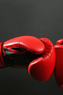 01:45: Boxeo: velada Rodriguez vs Vargas (T2026): Elif Nur Turhan vs Gabriela Téllez | GOL | 6/29 2026